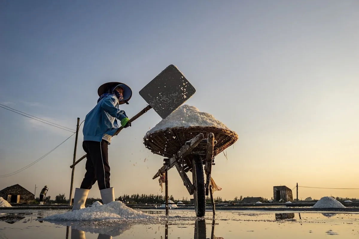 salt, nature, salty, people, man, summer, hard, vietnam, labor, work, job, farmer, woman, children