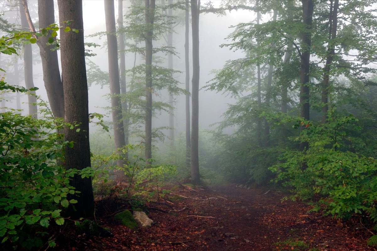 Transition de carrière